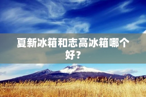 夏新冰箱和志高冰箱哪个好？