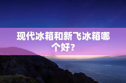 现代冰箱和新飞冰箱哪个好？