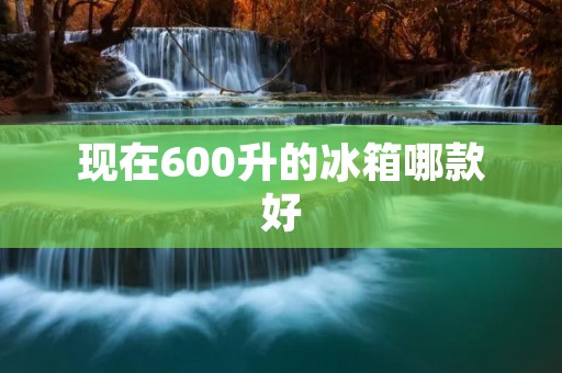 现在600升的冰箱哪款好 现在600升的冰箱哪款好