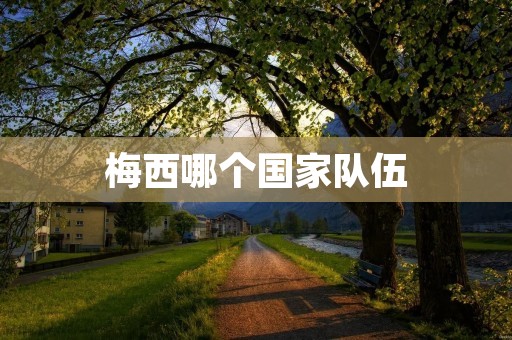 梅西哪个国家队伍