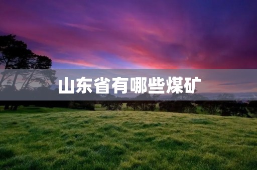 山东省有哪些煤矿 山东省有哪些煤矿