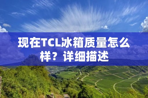 现在TCL冰箱质量怎么样?详细描述: 现在TCL冰箱质量怎么样?详细描述: