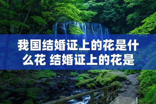 我国结婚证上的花是什么花 结婚证上的花是哪一种花