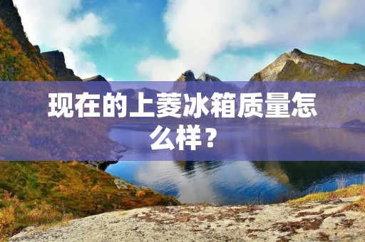 现在的上菱冰箱质量怎么样？