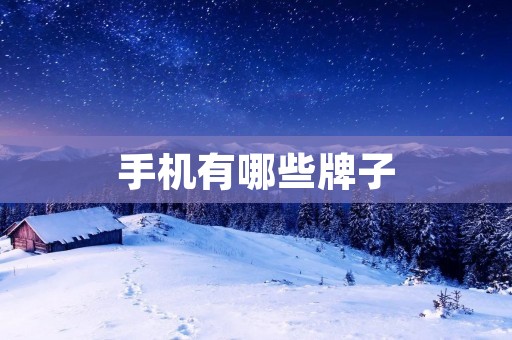 手机有哪些牌子