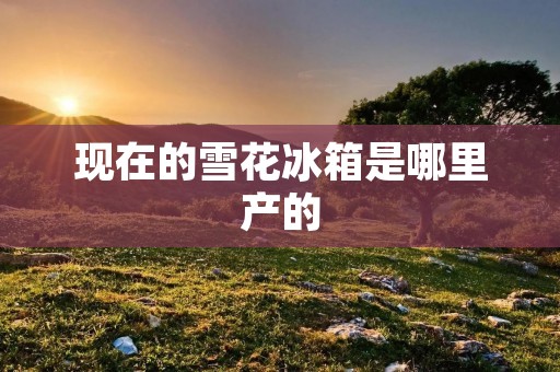 现在的雪花冰箱是哪里产的