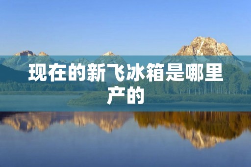 现在的新飞冰箱是哪里产的