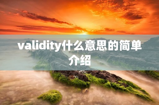 validity什么意思的简单介绍 validity什么意思的简单介绍