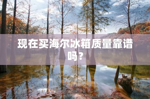 现在买海尔冰箱质量靠谱吗? 现在买海尔冰箱质量靠谱吗?