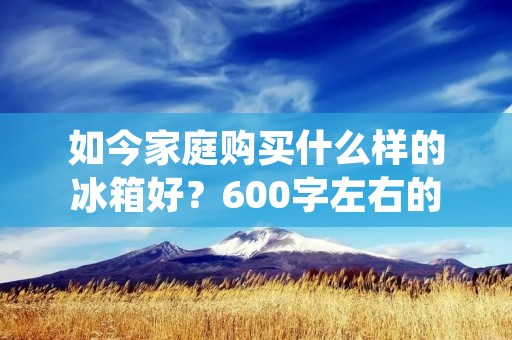 如今家庭购买什么样的冰箱好?600字左右的详细描述 如今家庭购买什么样的冰箱好?600字左右的详细描述