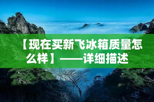 【现在买新飞冰箱质量怎么样】——详细描述 【现在买新飞冰箱质量怎么样】——详细描述