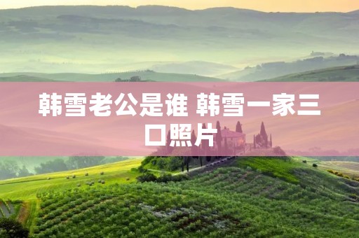 韩雪老公是谁 韩雪一家三口照片