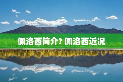 佩洛西简介? 佩洛西近况 佩洛西简介? 佩洛西近况