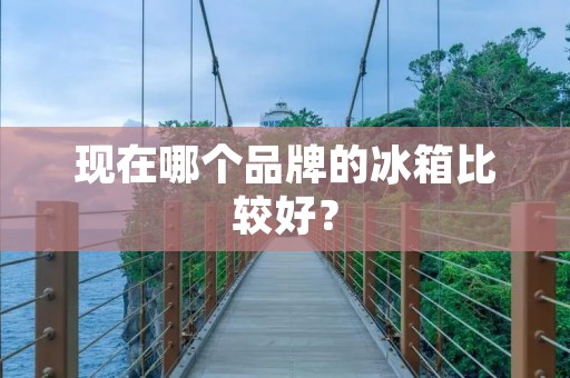现在哪个品牌的冰箱比较好? 现在哪个品牌的冰箱比较好?