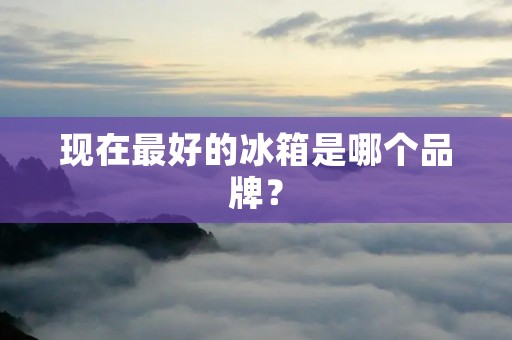 现在最好的冰箱是哪个品牌？