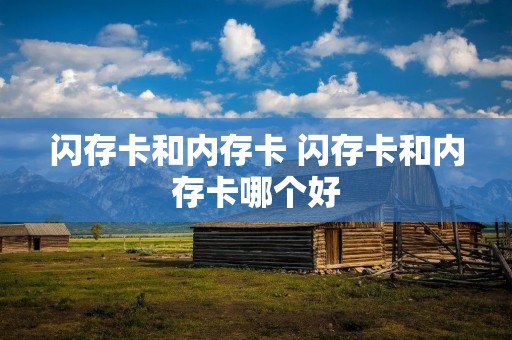 闪存卡和内存卡 闪存卡和内存卡哪个好