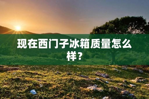现在西门子冰箱质量怎么样？