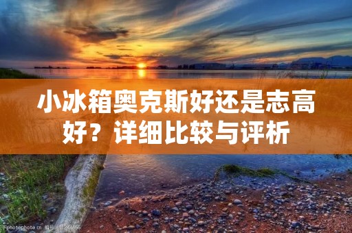 小冰箱奥克斯好还是志高好？详细比较与评析