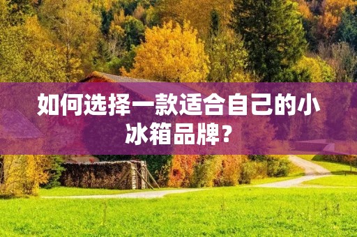 如何选择一款适合自己的小冰箱品牌？