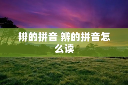 辨的拼音 辨的拼音怎么读 辨的拼音 辨的拼音怎么读