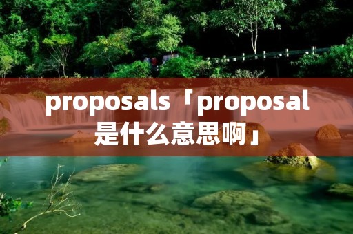 proposals「proposal是什么意思啊」
