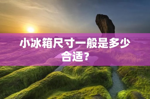 小冰箱尺寸一般是多少合适？
