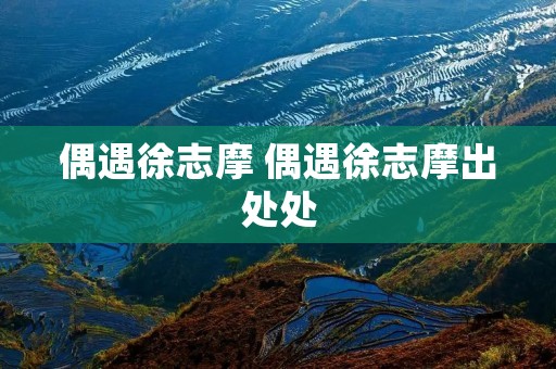 偶遇徐志摩 偶遇徐志摩出处处