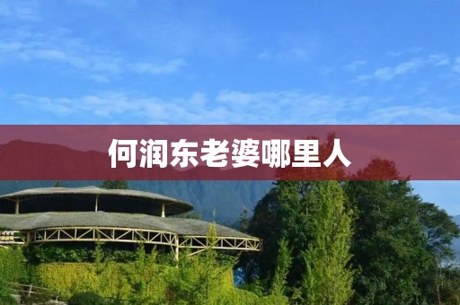 何润东老婆哪里人