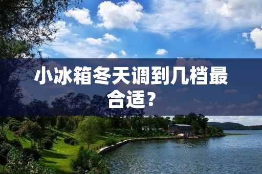 小冰箱冬天调到几档最合适? 小冰箱冬天调到几档最合适?