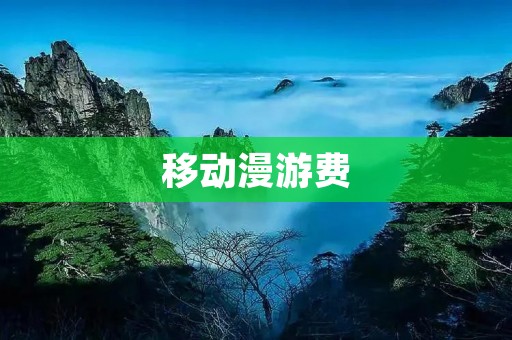 移动漫游费:如何合理规划出国旅行的通讯费用 移动漫游费:如何合理规划出国旅行的通讯费用