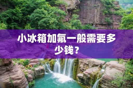 小冰箱加氟一般需要多少钱？
