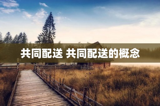共同配送 共同配送的概念 共同配送 共同配送的概念