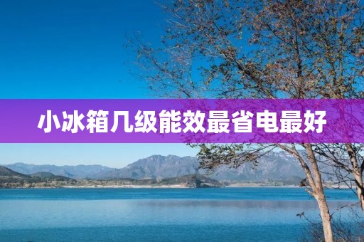小冰箱几级能效最省电最好:详细解析