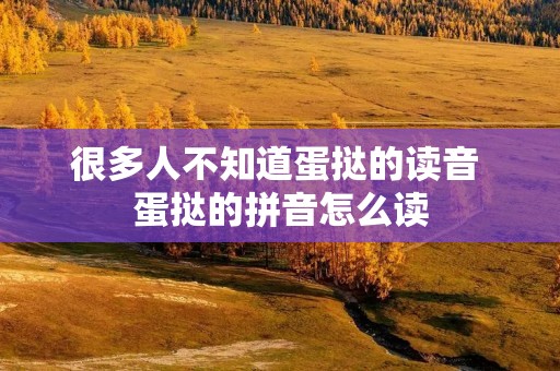 很多人不知道蛋挞的读音 蛋挞的拼音怎么读 很多人不知道蛋挞的读音 蛋挞的拼音怎么读
