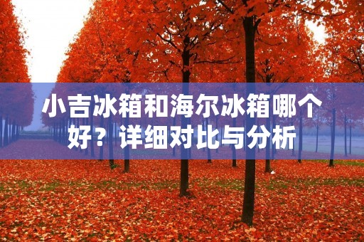 小吉冰箱和海尔冰箱哪个好?详细对比与分析 小吉冰箱和海尔冰箱哪个好?详细对比与分析