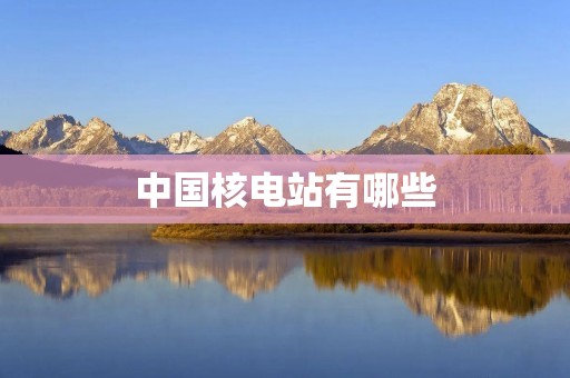 中国核电站有哪些 中国核电站有哪些