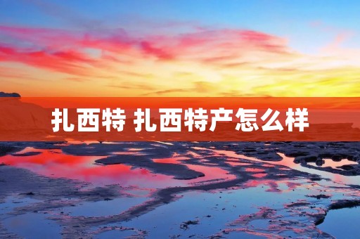 扎西特 扎西特产怎么样