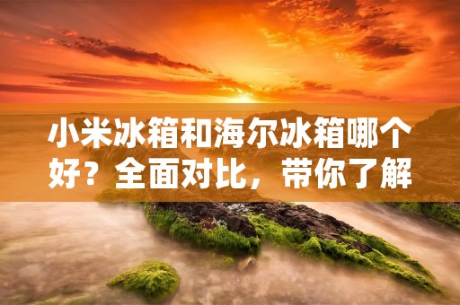 小米冰箱和海尔冰箱哪个好？全面对比，带你了解细节