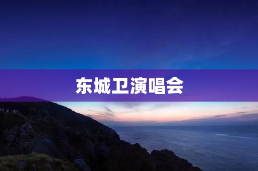 东城卫演唱会：音乐盛宴席卷东城