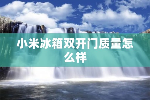 小米冰箱**门质量怎么样