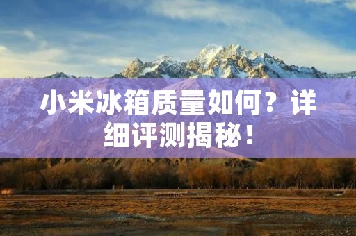 小米冰箱质量如何？详细评测揭秘！
