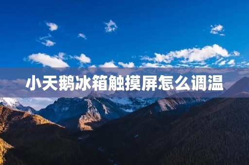 小天鹅冰箱触摸屏怎么调温：详细教程解析