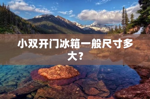 小**门冰箱一般尺寸多大? 小**门冰箱一般尺寸多大?
