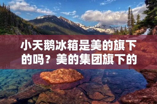 小天鹅冰箱是美的旗下的吗?美的集团旗下的品牌有哪些?小天鹅冰箱与美的冰箱有何不同? 小天鹅冰箱是美的旗下的吗?美的集团旗下的品牌有哪些?小天鹅冰箱与美的冰箱有何不同?