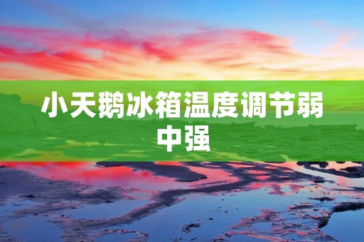 小天鹅冰箱温度调节弱中强:完美调控食物鲜度的秘诀 小天鹅冰箱温度调节弱中强:完美调控食物鲜度的秘诀