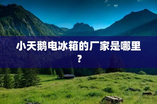小天鹅电冰箱的厂家是哪里? 小天鹅电冰箱的厂家是哪里?