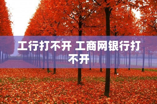 工行打不开 工商网银行打不开
