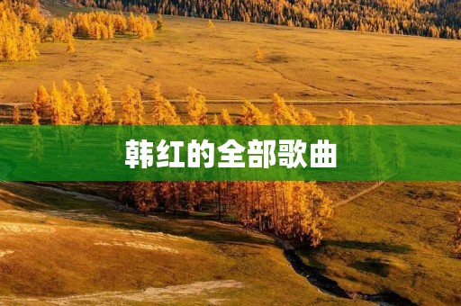 韩红的全部歌曲:用音乐传递爱与勇气的一生 韩红的全部歌曲:用音乐传递爱与勇气的一生