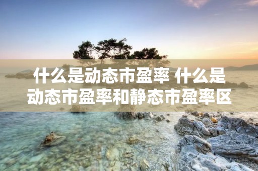 什么是动态市盈率 什么是动态市盈率和静态市盈率区别
