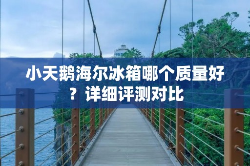 小天鹅海尔冰箱哪个质量好?详细评测对比 小天鹅海尔冰箱哪个质量好?详细评测对比